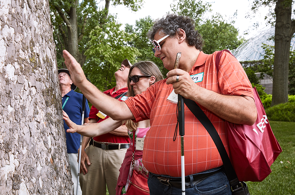 A group of ACB members check out the texture of a large tree during a botanical garden sensory tour at the ACB convention.
