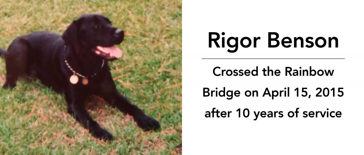 Rigor Benson crossed the rainbow bridge on April 15, 2015 after 10 years of service